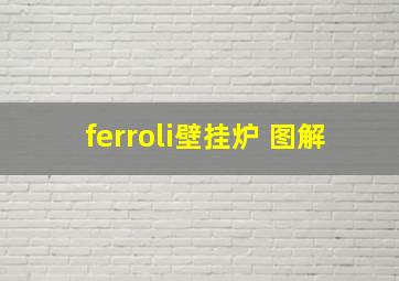 ferroli壁挂炉 图解